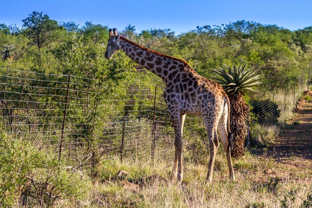 Big Valley Game Lodge Lobatse 외부 사진
